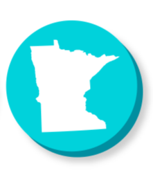 Concealed carry bonds in Minnesota